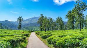 Bengaluru - Mysuru - Wayanad